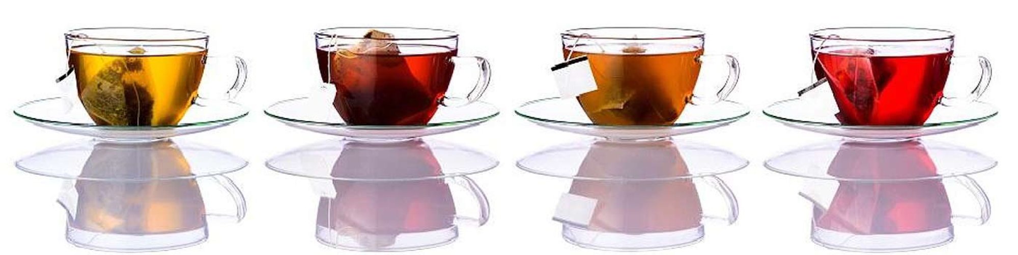 envasado de infusiones, tes y hierbas